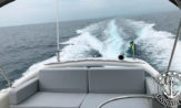 lancha a venda Schaefer 400 barco usado e seminovo ano 2018 fabricada pela Schaefer Yachts
