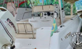 lancha a venda Victory 245 com motor Evinrude de 175 HP barco usado com wc ecológico barcos usados e seminovos