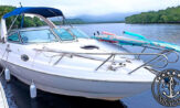 lancha a venda focker 255 fabricada pela fibrafort no ano de 2006 com um Mercury Optmax 225 HP