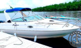 lancha a venda focker 255 fabricada pela fibrafort no ano de 2006 com um Mercury Optmax 225 HP