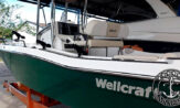 lancha a venda wellcraft 220 barcos usados e seminovos para pesca